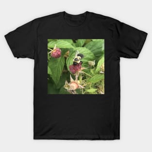 Raspberry delight T-Shirt